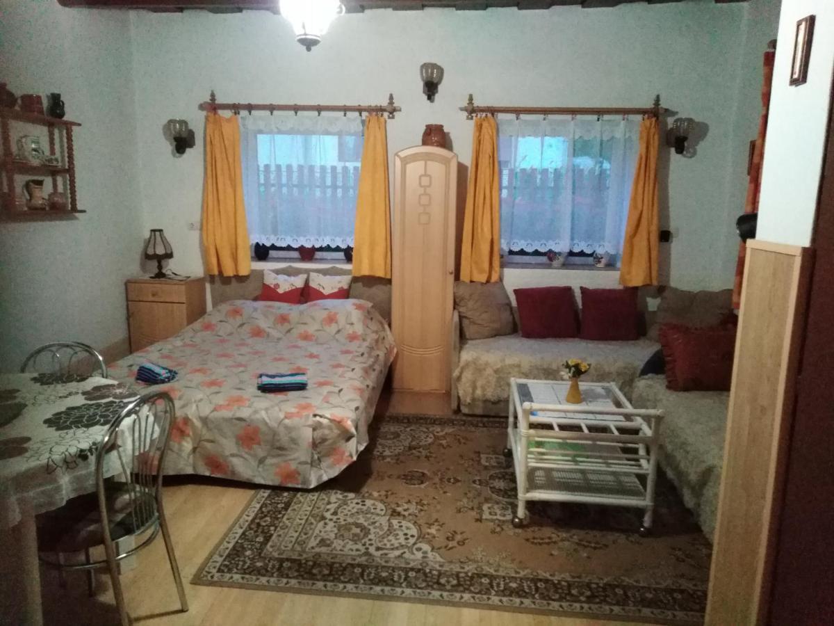 Ferienwohnung Bekecs Vendeghaz Nagyvisnyó Exterior foto